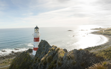 4714 Cape Palliser Wairarapa Julian Apse