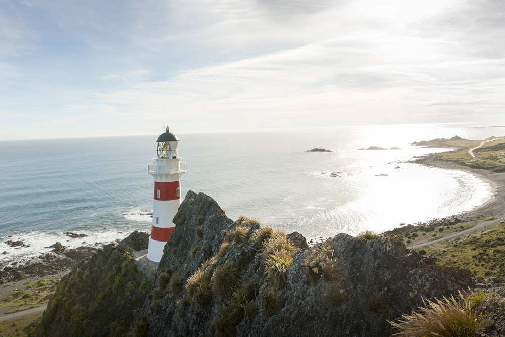 4714 Cape Palliser Wairarapa Julian Apse